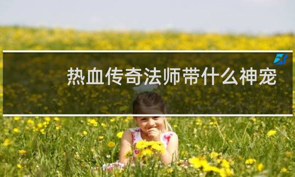 热血传奇法师带什么神宠