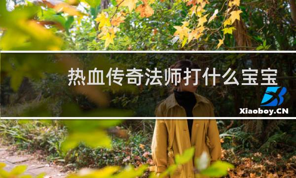 热血传奇法师打什么宝宝