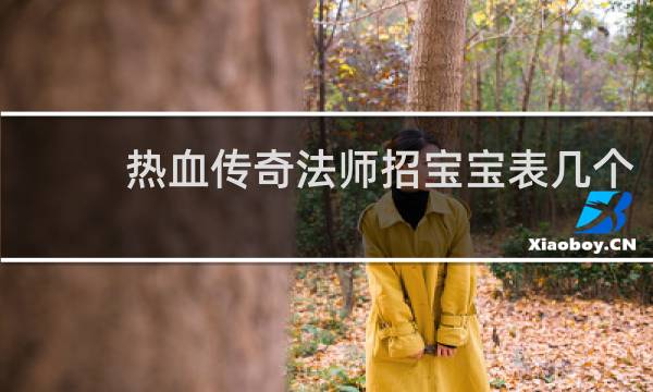 热血传奇法师招宝宝表几个