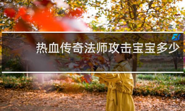 热血传奇法师攻击宝宝多少