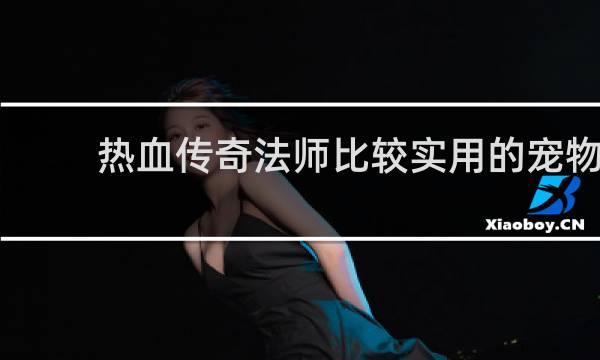 热血传奇法师比较实用的宠物