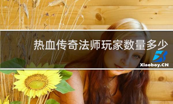 热血传奇法师玩家数量多少