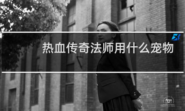 热血传奇法师用什么宠物