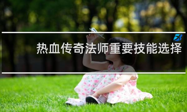 热血传奇法师重要技能选择