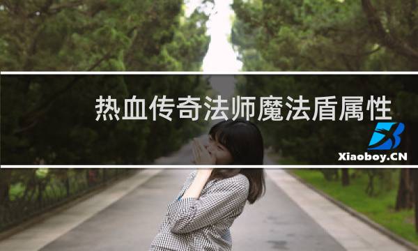 热血传奇法师魔法盾属性