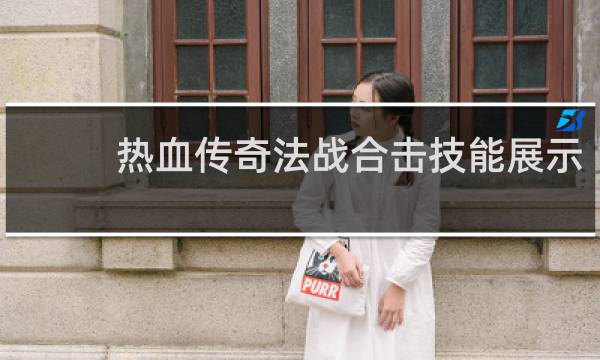 热血传奇法战合击技能展示