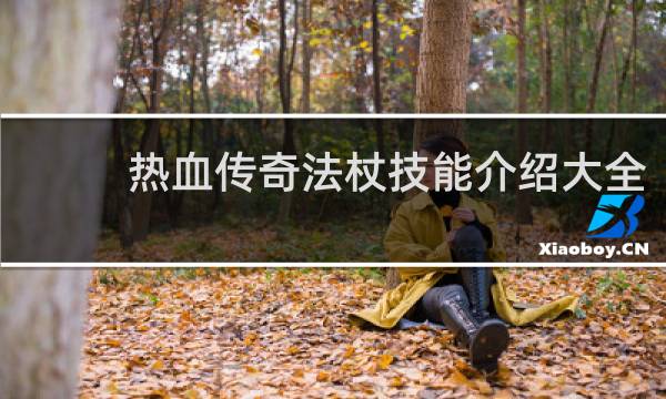 热血传奇法杖技能介绍大全