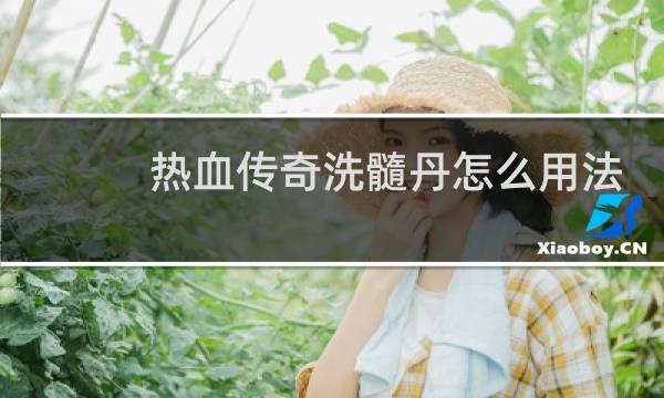 热血传奇洗髓丹怎么用法