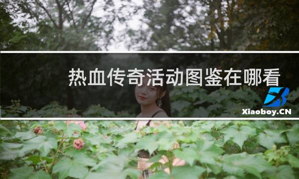 热血传奇活动图鉴在哪看