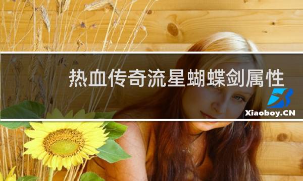 热血传奇流星蝴蝶剑属性