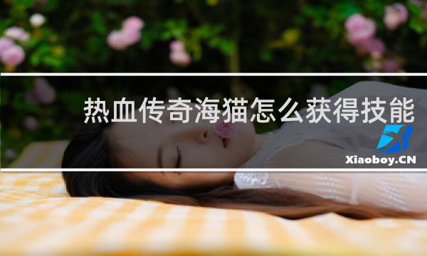 热血传奇海猫怎么获得技能