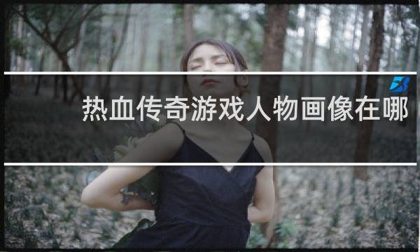 热血传奇游戏人物画像在哪