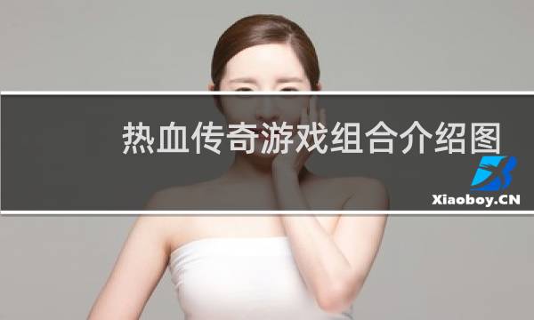 热血传奇游戏组合介绍图
