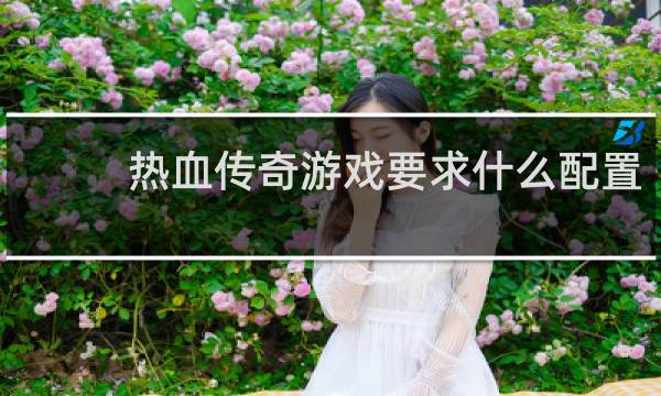 热血传奇游戏要求什么配置