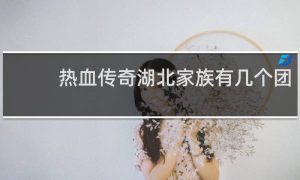 热血传奇湖北家族有几个团