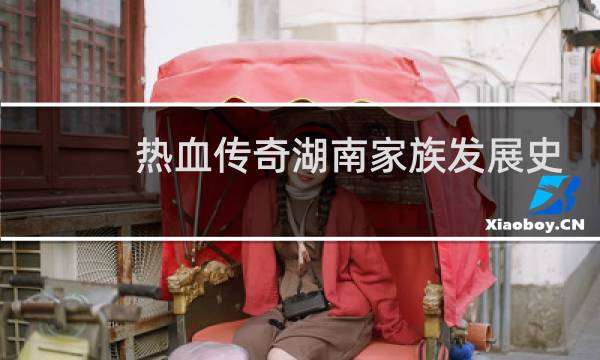 热血传奇湖南家族发展史
