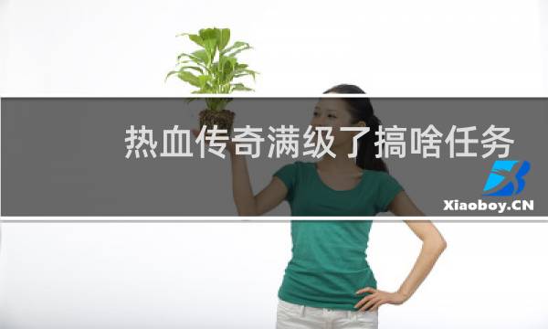 热血传奇满级了搞啥任务