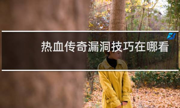 热血传奇漏洞技巧在哪看