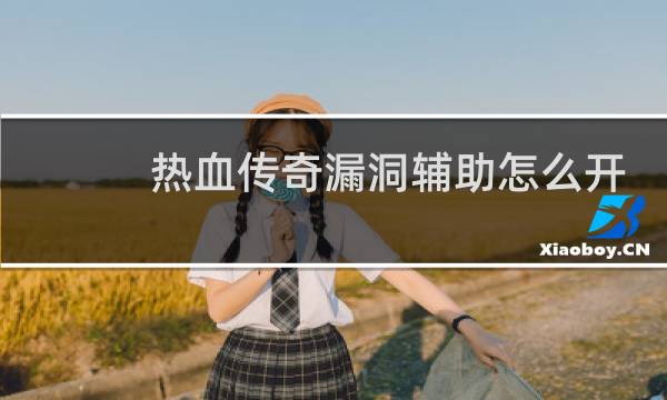 热血传奇漏洞辅助怎么开