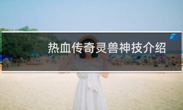 热血传奇灵兽神技介绍