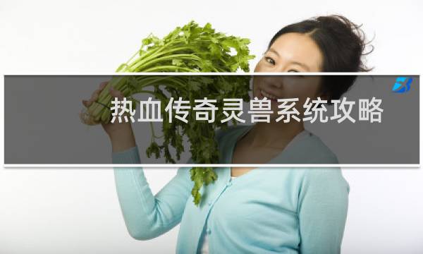 热血传奇灵兽系统攻略