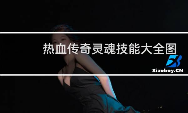 热血传奇灵魂技能大全图