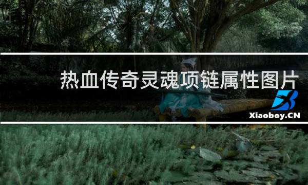 热血传奇灵魂项链属性图片