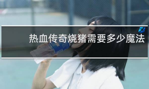 热血传奇烧猪需要多少魔法