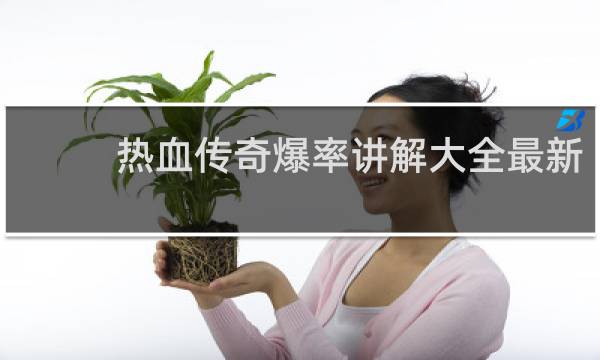 热血传奇爆率讲解大全最新