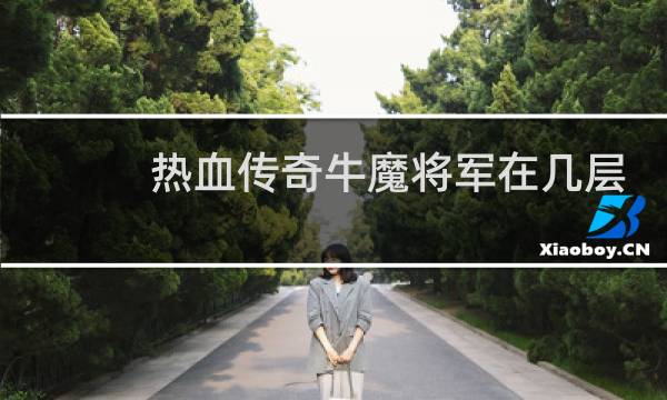 热血传奇牛魔将军在几层