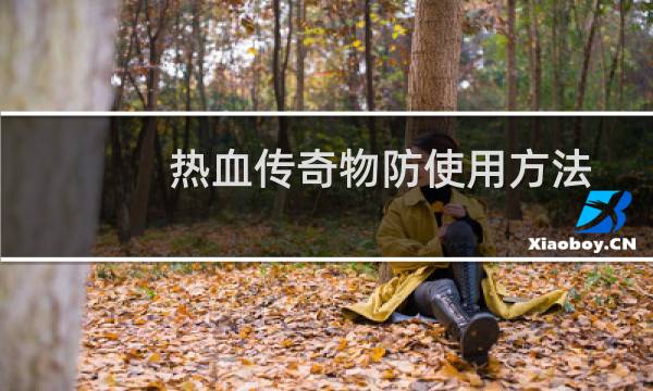 热血传奇物防使用方法