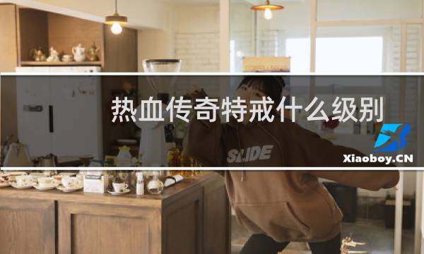 热血传奇特戒什么级别