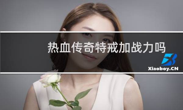 热血传奇特戒加战力吗