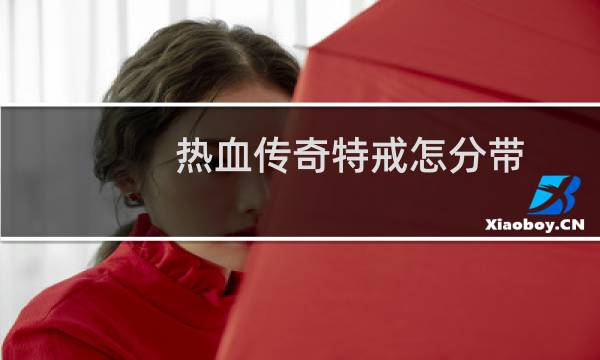 热血传奇特戒怎分带