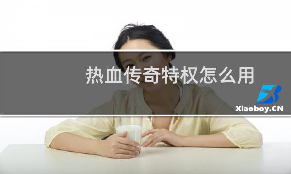 热血传奇特权怎么用