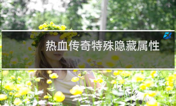 热血传奇特殊隐藏属性