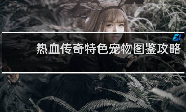 热血传奇特色宠物图鉴攻略