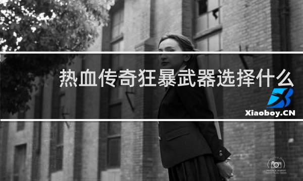 热血传奇狂暴武器选择什么