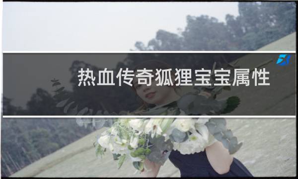 热血传奇狐狸宝宝属性