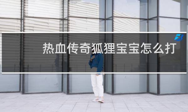 热血传奇狐狸宝宝怎么打