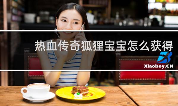 热血传奇狐狸宝宝怎么获得