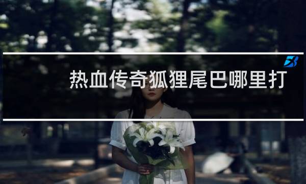 热血传奇狐狸尾巴哪里打