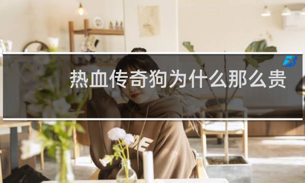 热血传奇狗为什么那么贵