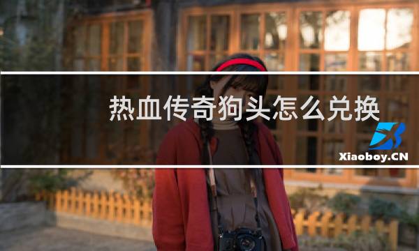 热血传奇狗头怎么兑换