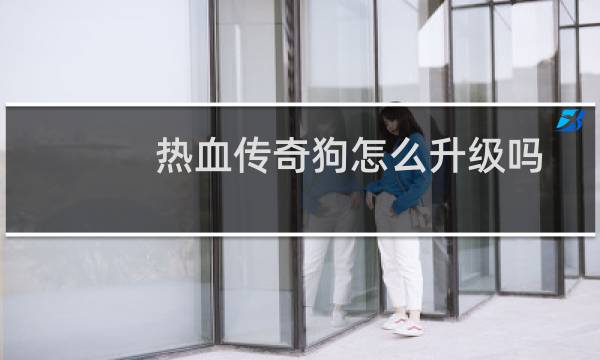 热血传奇狗怎么升级吗