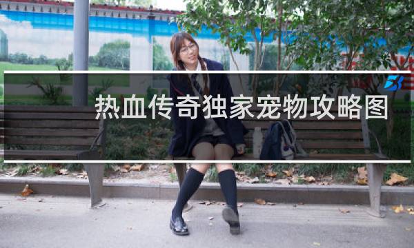 热血传奇独家宠物攻略图