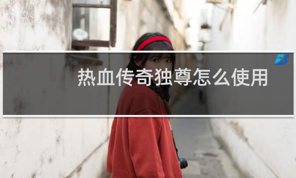热血传奇独尊怎么使用