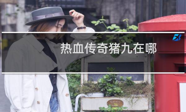 热血传奇猪九在哪