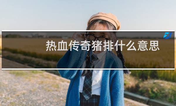 热血传奇猪排什么意思
