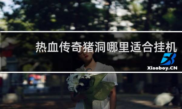 热血传奇猪洞哪里适合挂机